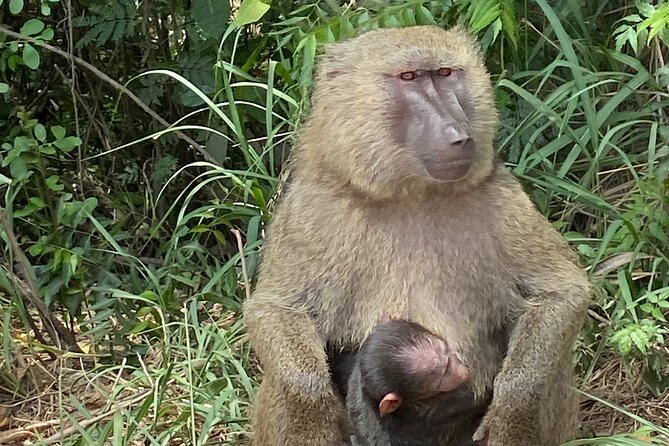 Wonders of Akosombo And Shai Hills